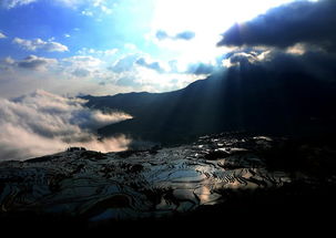 二月元陽(yáng)之韻,帶你看梯田,看云海,看最美的光