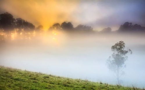 雖說(shuō)一切都是浮云,但是古詩(shī)詞中的浮云卻這么美